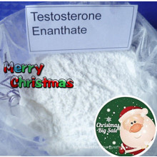 Prasterone Enanthate Hormone Test Enanthate for Muscle Growth
